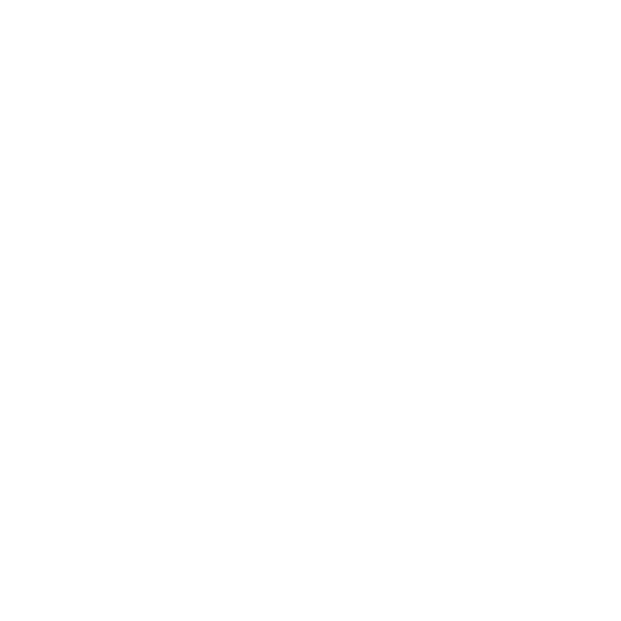 NEVA logo