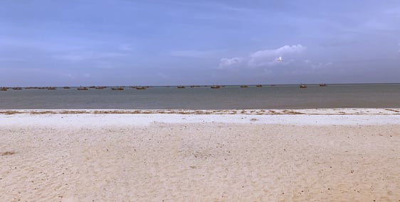 Vankalai Beach