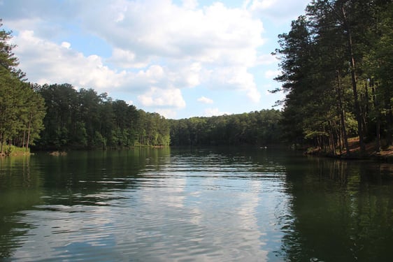 Red Top Mountain State Park