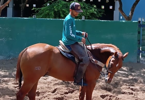 Doma de Cavalo no redondel do Vitória em Cristo Ranch