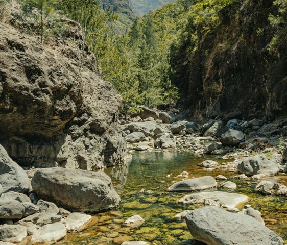 Petit bassin naturel à La Réunion avec vue sur les montagnes par temps ensoleillé