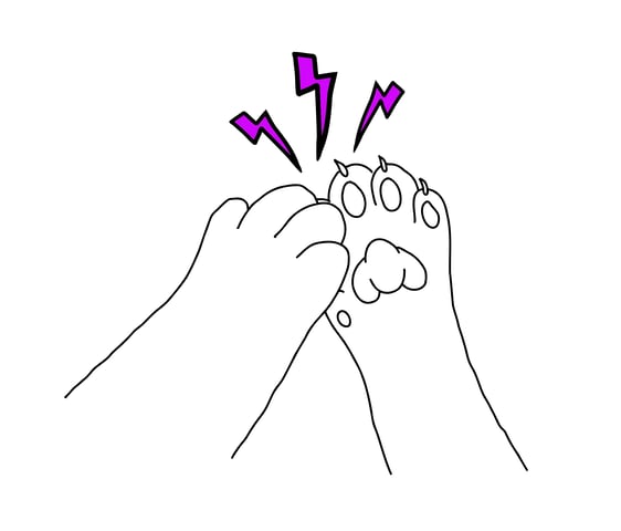 two pat paws high five