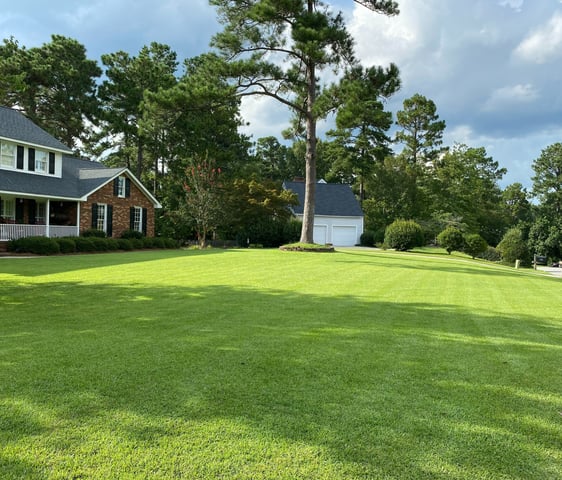 About Atomic Turf serving the CSRA community