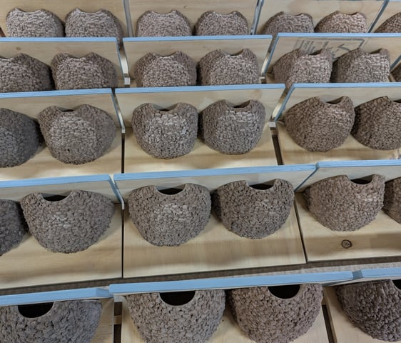 Double nest cups mass production by Nest Cup Box