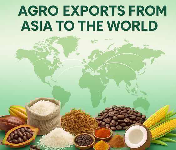 High Business International sourcing cocoa and rice from Southeast Asia