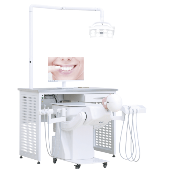 dental simulation