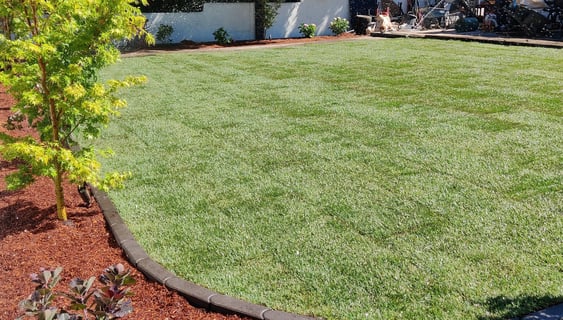 Lawn Irrigation System Installation in Lake Osweg, West Linn, Tigard, Portland, Cedar Mill, Near Me.
