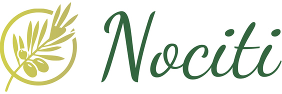 Nociti logo