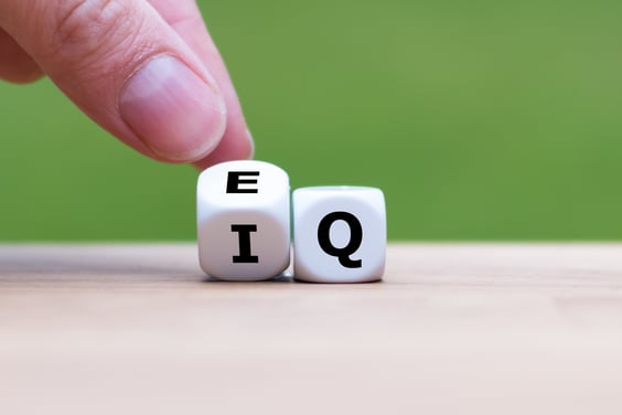 EI /EQ Graphic image