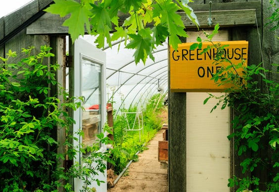 a greenhouse with a sign that says green house one
