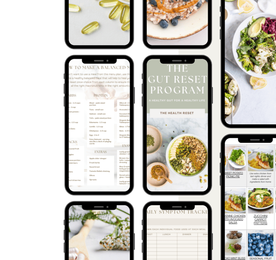 the gut reset program