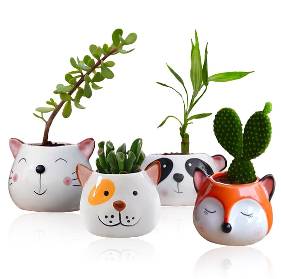 Animal Shape ceramic planters