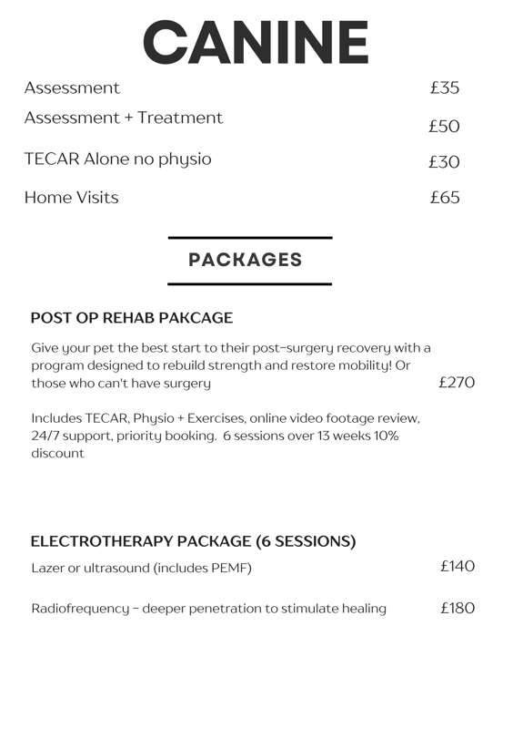 canine physiotherpay prices with home visits in Bodmin, St Austell and Liskeard