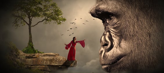 gorille face à une femme qui veut caresser l'animal