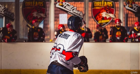 photographe orléans