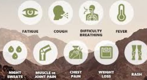 fever causes symptoms