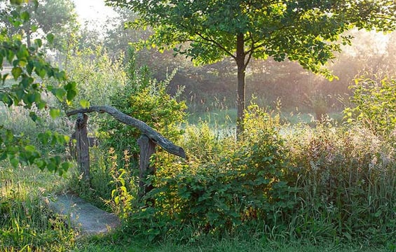 Fotos von Naturgärten