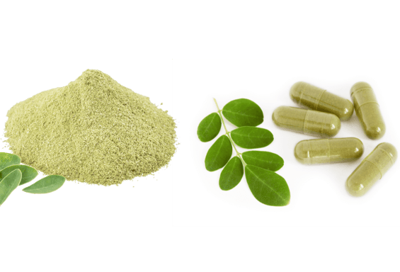 Moringa