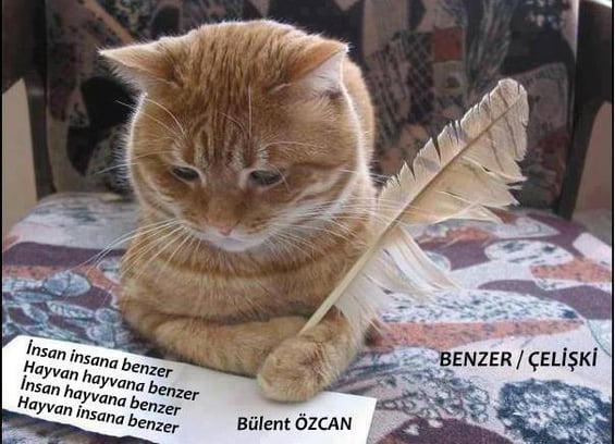 Benzer, Çelişki, Şiir, Bülent Özcan