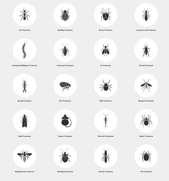 Icons representing various pest control treatments, including ants, bed bugs, cockroaches, rodents