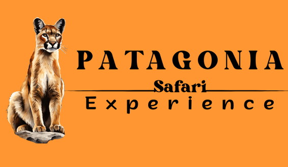 Patagonia Safarie Experience logo