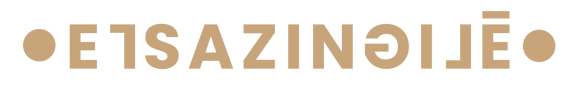 Elsa Zingilé  logo