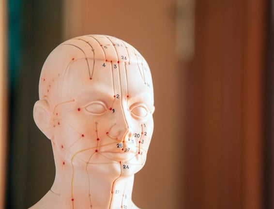 méridiens en reflexologie et point d'acupression