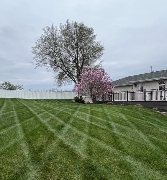 lawn-care-services-in-hannibal-mo