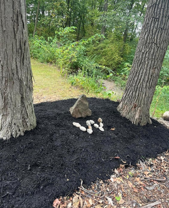 mulch-landscaping-around-trees-on-hannibal-mo-property.jpg