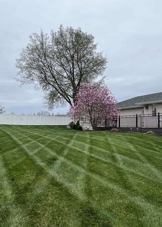 lawn-care-services-in-hannibal-mo