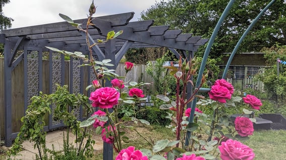 bespoke pergola