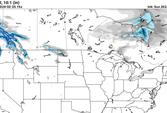 PivotalWeather screenshot of sample NAM model snow totals that links to their site. 