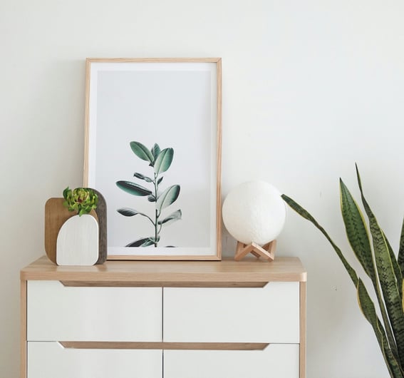 décoration intérieure blanche meuble cadre plante