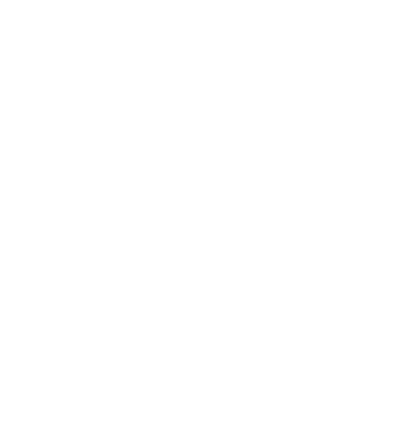 bl formation logo