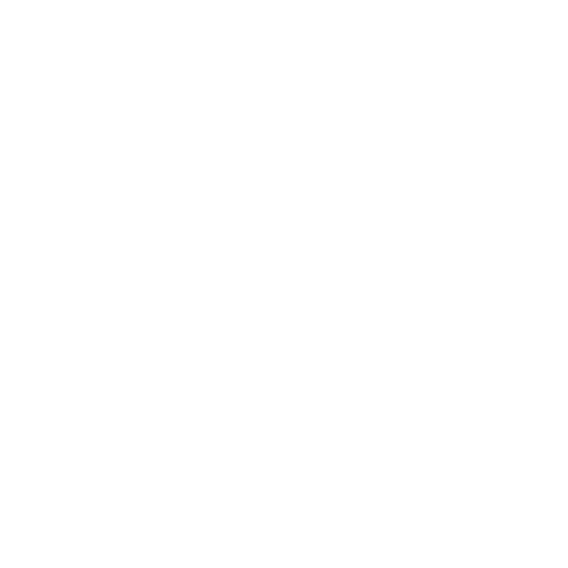 Ay Ay Ai! Solutions logo