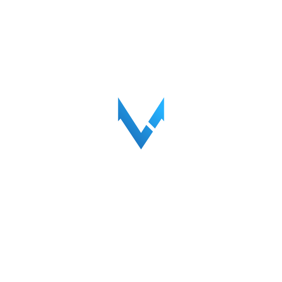 Vladimir Louissaint logo