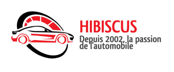 HIBISCUS logo
