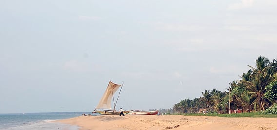 Negombo Beach