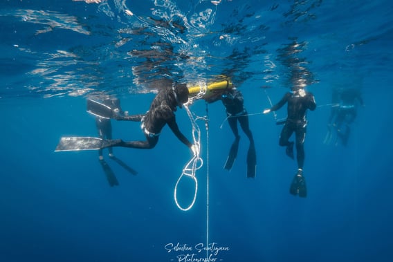 a group of freediver during a course. Photo taken by Sébastien Saintignan
