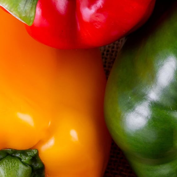 a basket of peppers and peppers on a table