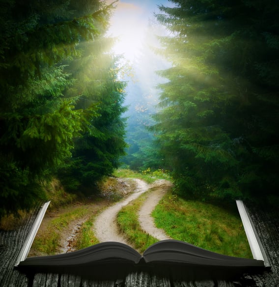 Path through the forest.