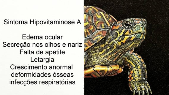 sintoma_hipovitaminose_A_em_tartarugas