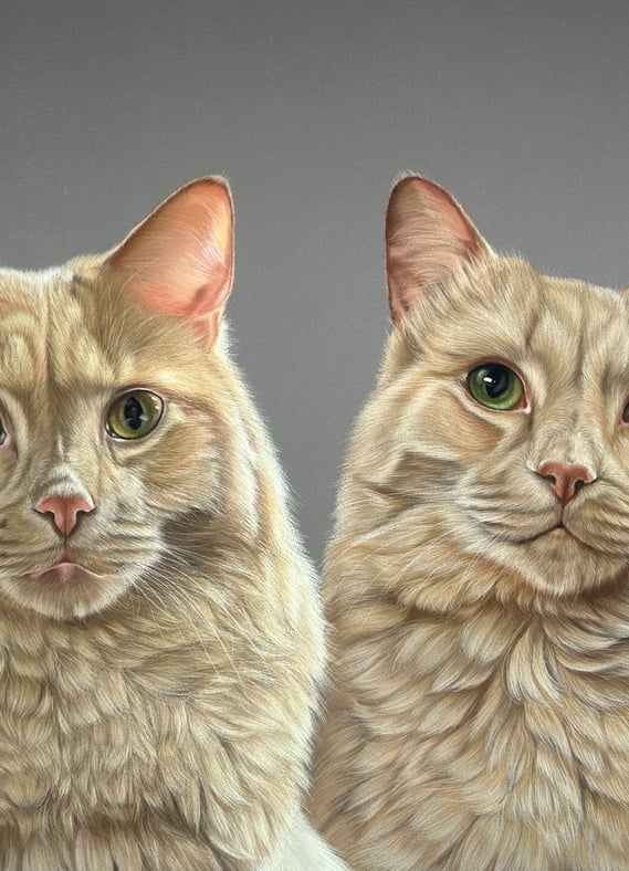 commission pet portrait