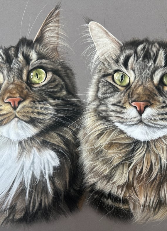 Pet portrait commission