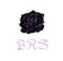 Logo de black rose secret