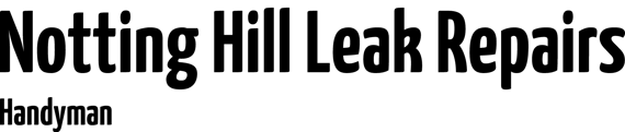 Notting Hill Leak Repairs logo