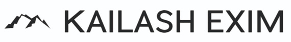 DHRUVI logo