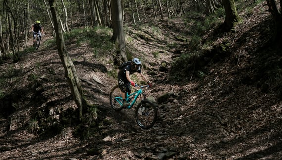 les Ardennes belges