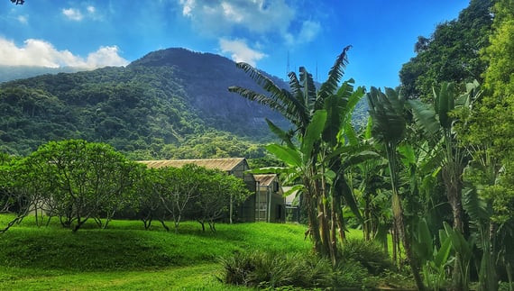Le Jardin Sensoriel Jardin-Botanique-Rio-de-Janeiro