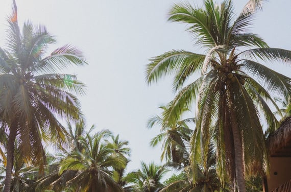 Paradise in Mexico, La saladita without stress